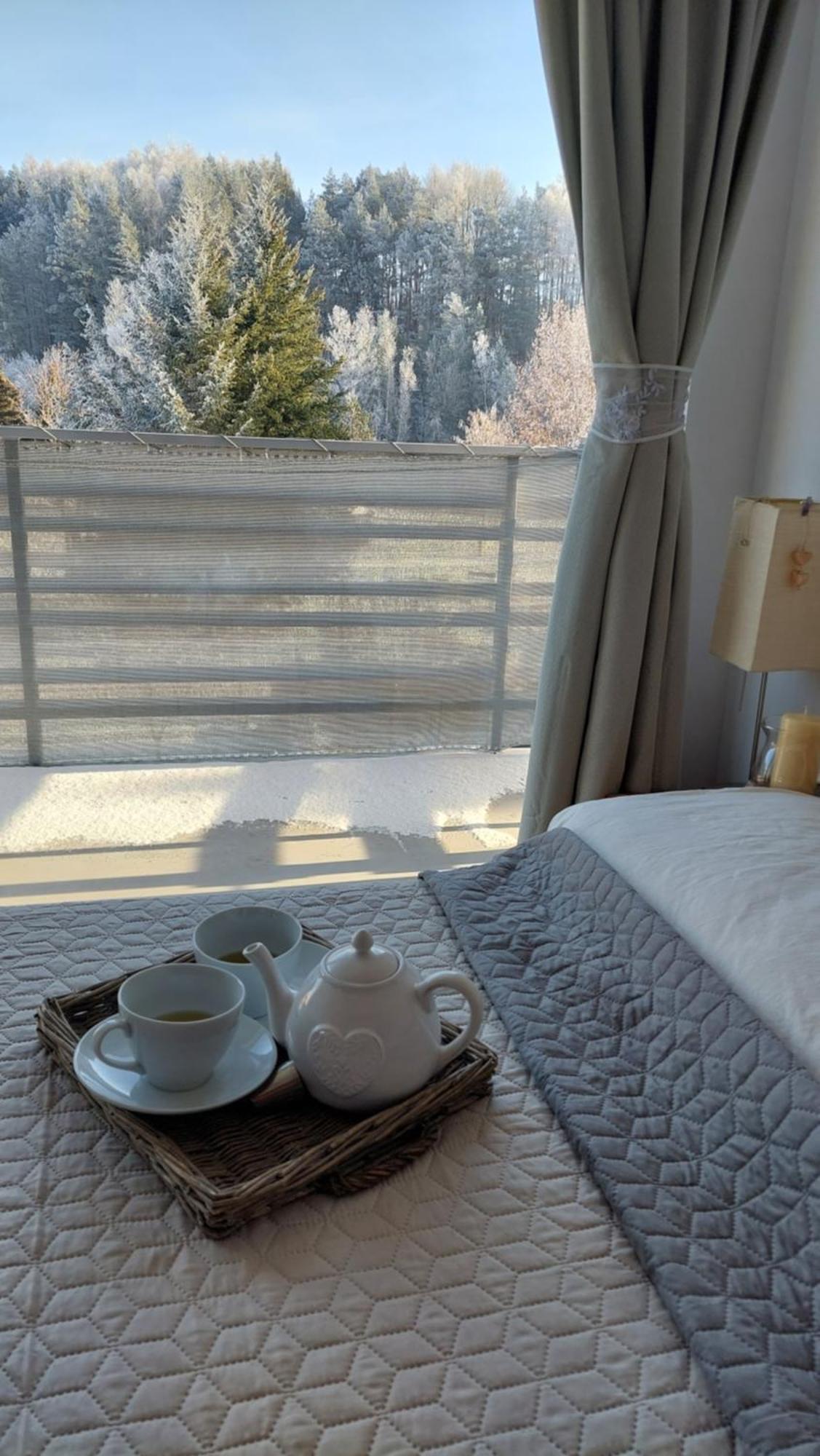 Penzion Piano Apartment ลิฟตอฟสกีมิคูลาช ห้อง รูปภาพ
